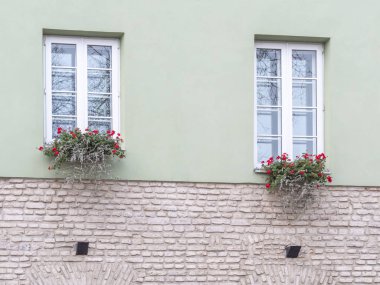 Çiçekler tipik Avrupa pencere. Çiçek kutusunun altında bir apartman binası üstünde pencere eşiği