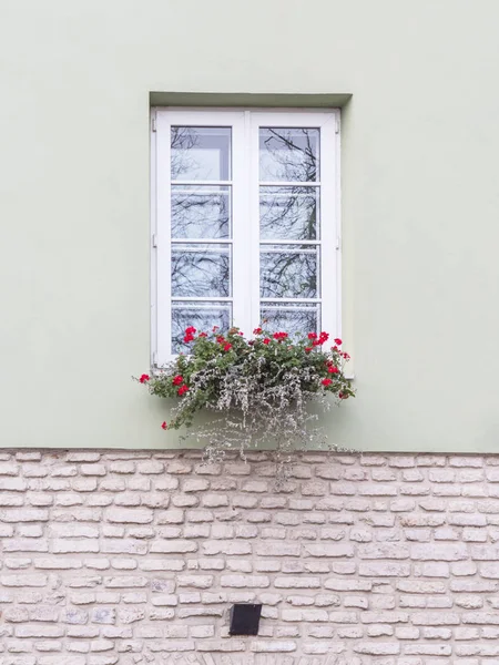 Typisch europäisches Fenster mit Blumen. Blumenkasten unter einem Fenster eines Mehrfamilienhauses — Stockfoto