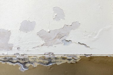 Eski yıpranmış boyalı duvar arka plan dokusu. Beyaz ve kahverengi soyulmuş alçı duvar boya pulları düşen ile