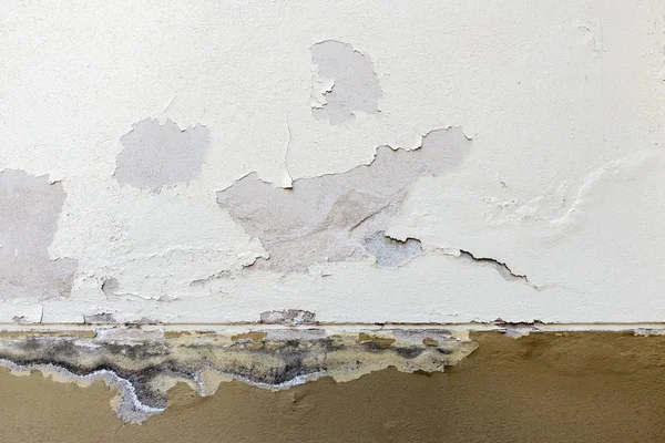 Старая выветриваемая текстура стены. Белая и коричневая обработанная гипсовая стена с отвалившимися хлопьями краски — стоковое фото