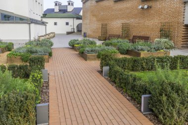 Vilnius, Lithuania October 16, 2018: Renaissance garden near Palace of the Grand Dukes of Lithuania in Vilnius clipart