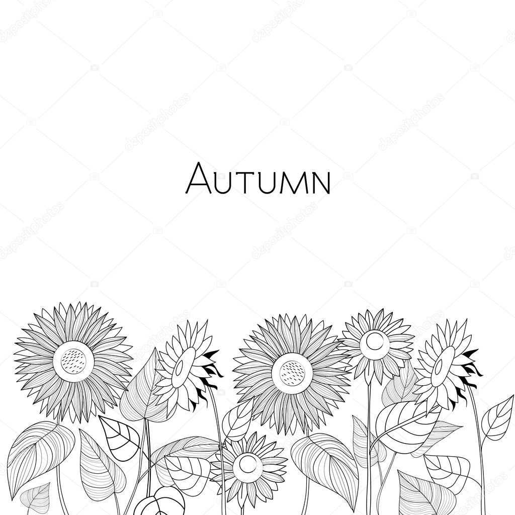 Autumn card of sunflowers. Black and white vector illustration.