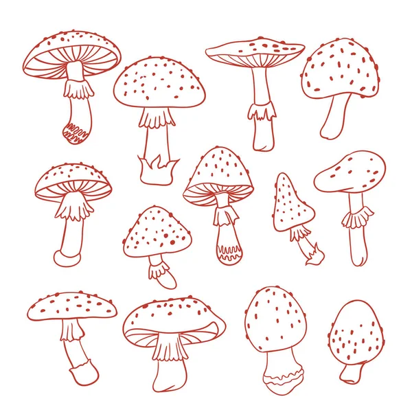 Set of poisonous mushroom fly agarics. Doodle illustration. Line drawing — Stock Vector