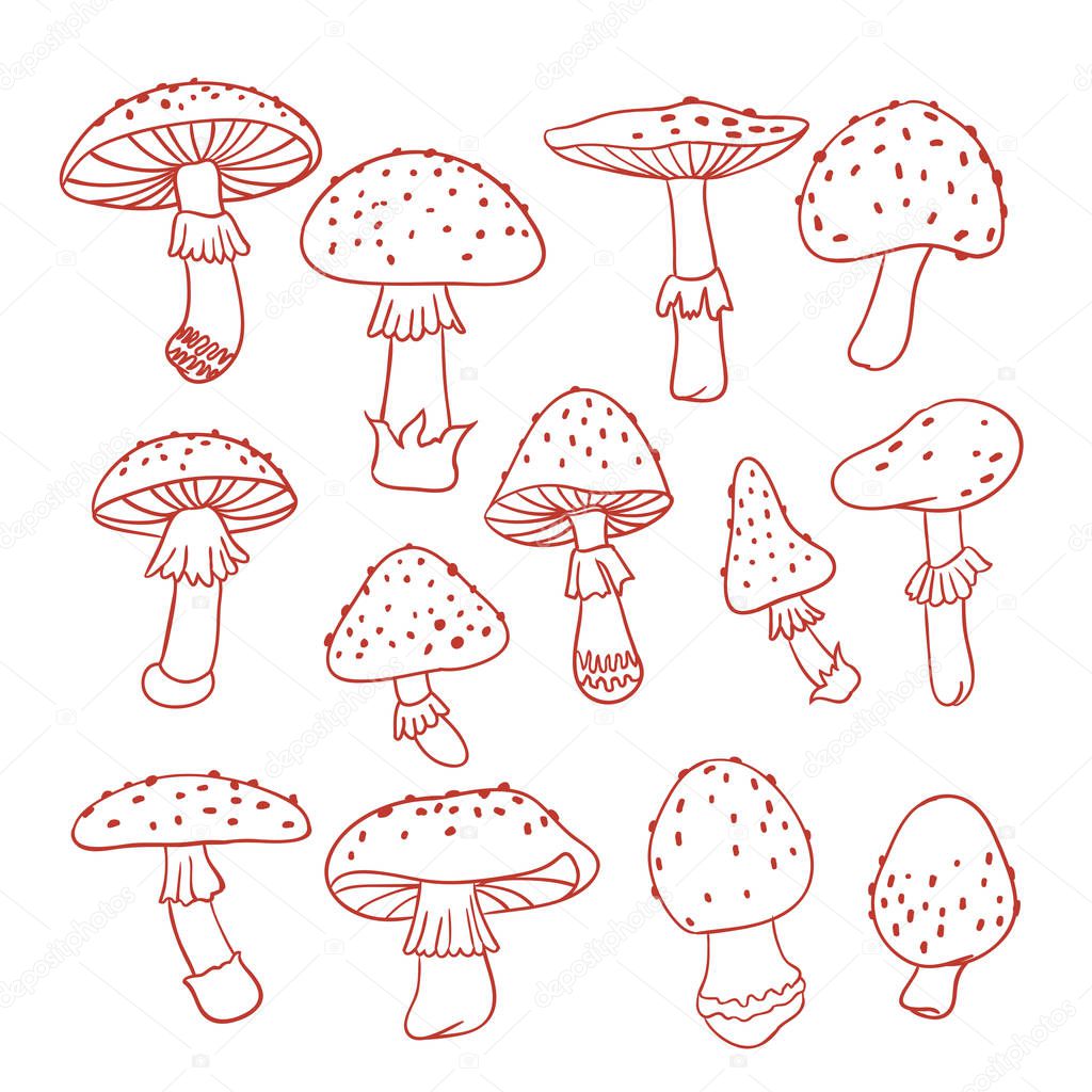 Set of poisonous mushroom fly agarics. Doodle illustration. Line drawing