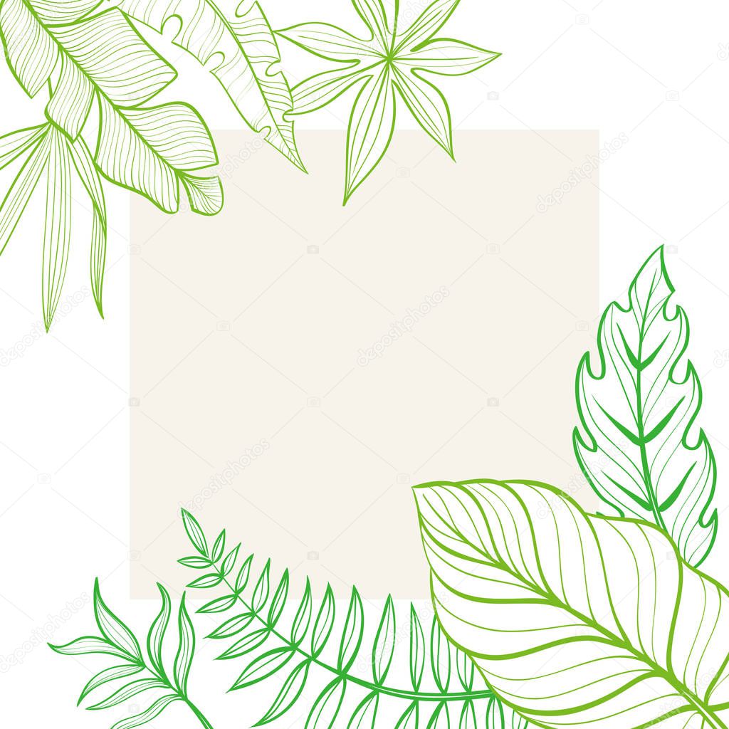 Frame with tropical leaves. Postcard. Hand-drawn illustration. Line drawing. Vector