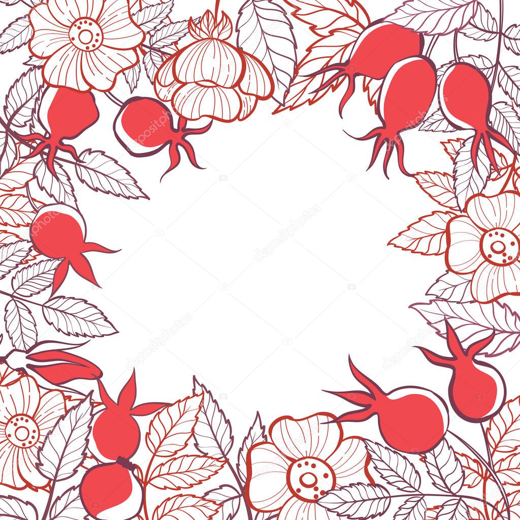 Square frame with flowers, leaves and rosehip berries. Hand-drawn illustration.