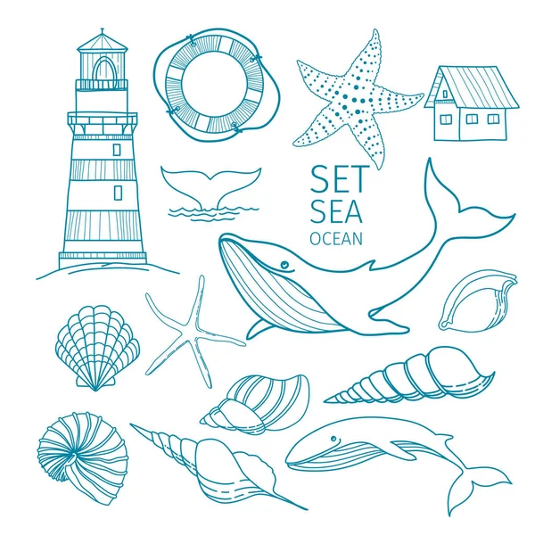 Комплект морских объектов - раковины, китовый хвост, морская звезда, спасательный круг, кит, дом, маяк. Ручная иллюстрация, эскиз . — стоковый вектор