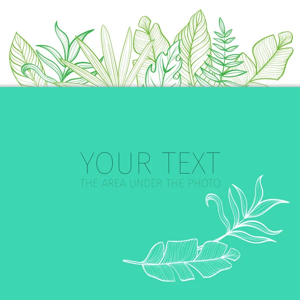 Postcard template with tropical leaves. Linear illustration. Vector background — Stock Vector