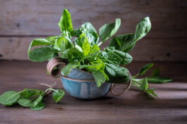 Tahta arka planda güzel bir fincanda taze ıspanak.
