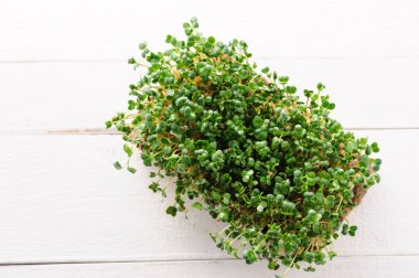 Evde keten bir kilimin üzerinde yetişen mikroyeşil turp filizleri, ev yapımı mikro çiftlik.