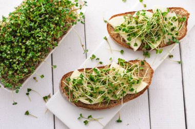 Yeşil taze lahanalı bir sandviç, mikro yeşiller ve mozzarella, sağlıklı ve sağlıklı bir atıştırmalık.