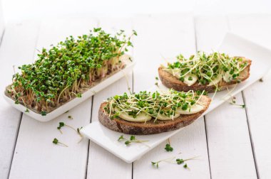Yeşil taze lahanalı bir sandviç, mikro yeşiller ve mozzarella, sağlıklı ve sağlıklı bir atıştırmalık.
