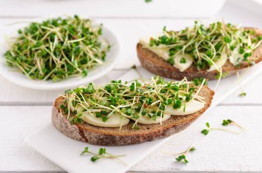 Yeşil taze lahanalı bir sandviç, mikro yeşiller ve mozzarella, sağlıklı ve sağlıklı bir atıştırmalık.