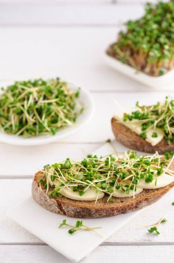 Yeşil taze lahanalı bir sandviç, mikro yeşiller ve mozzarella, sağlıklı ve sağlıklı bir atıştırmalık.