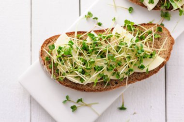 Yeşil taze lahanalı bir sandviç, mikro yeşiller ve mozzarella, sağlıklı ve sağlıklı bir atıştırmalık.