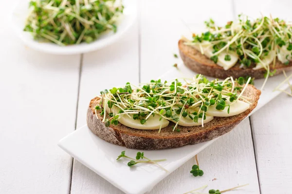 Yeşil taze lahanalı bir sandviç, mikro yeşiller ve mozzarella, sağlıklı ve sağlıklı bir atıştırmalık.