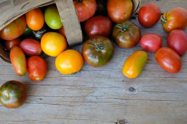 Doğal kırmızı domatesler, ahşap arka planda kiraz domatesleri.