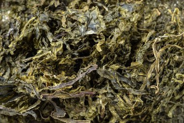 Masanın üstünde kurumuş yosun yosunu var.