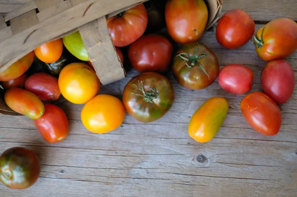 Tomates Vermelhos Naturais Tomates Cereja Fundo Madeira — Fotografia de Stock
