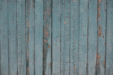 Kırık gri-mavi boyalı eski boyalı ahşap çit dokusu