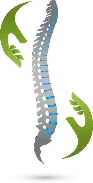 Coluna Mãos Ortopedia Fisioterapia Massagem Logotipo —  Vetores de Stock