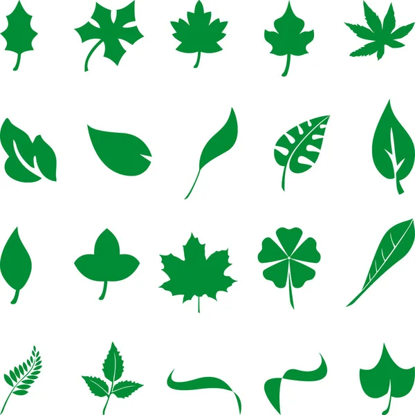 Berbagai Koleksi Daun Bio Eco Pohon Ikon Grafik Vektor