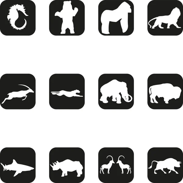 Animais Logotipos Botões Etiqueta Adesivos Coleção — Vetor de Stock