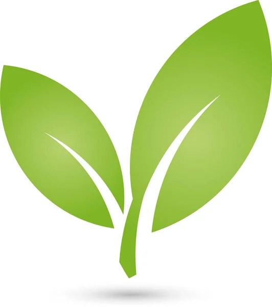 Twee Bladeren Planten Biologisch Vegan Logo — Stockvector