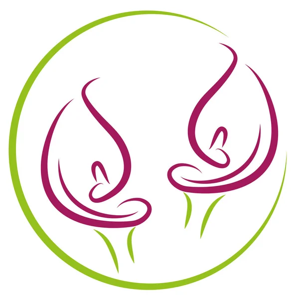 Twee Zantedethe Plant Calla Bloem Logo Icoon — Stockvector