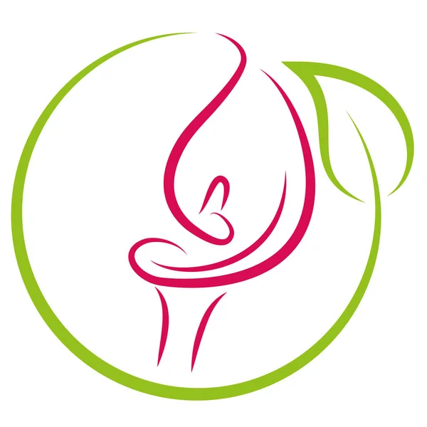 Zantedeschia Tanaman Kalla Bunga Logo Ikon - Stok Vektor