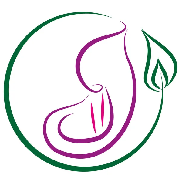 Zantedeschia Plant Calla Flower Logo Icon — Stock Vector