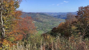 Karpat Dağları 'na sonbahar geldiğinde çekilmiş.