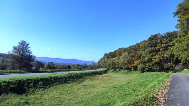 Meşe ormanı yakınlarında bir asfalt yol görülebilir.