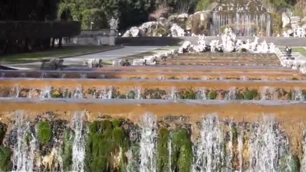 カゼルタ カンパニア イタリア 2019年2月3日 宮殿の公園で金星とアドニスの噴水の滝 — ストック動画