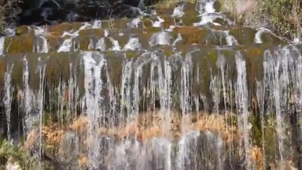 Caserta Campania Italië Februari 2019 Grote Waterval Die Fontein Van — Stockvideo