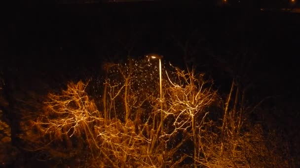 意大利坎帕尼亚贝尼内托 2019年1月4日 Lungocalore 的路灯下的夜间降雪 — 图库视频影像