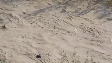 Benevento, Campania, Italya-21 Kasım 2018: yoğun bir yağmurdan sonra calore nehrinin karanlık sularında taşınan enkaz