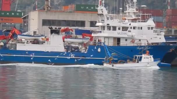 意大利坎帕尼亚萨勒诺 2018年12月6日 渔民船返回港口 随后是一群海鸥 — 图库视频影像