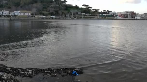 Баколи Кампания Италия Марта 2019 Года Waves Lago Miseno — стоковое видео