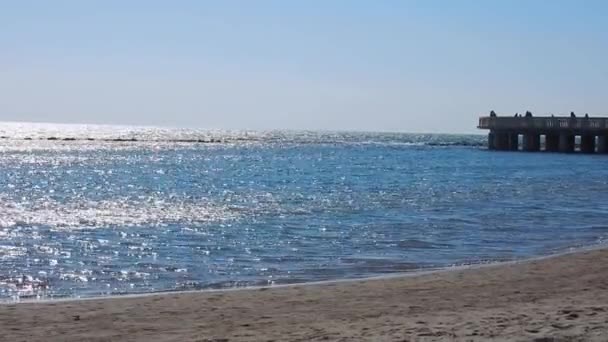 Ostia Lazio Italy March 2019 Panorama Coast Ostia Pier — 图库视频影像