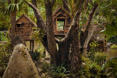 Doğada rahat bir ağaç ev hayal edin, yemyeşil ve dingin kayalar, rahatlama ve macera için ideal.