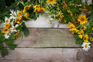 Yaz çerçeve çiçek