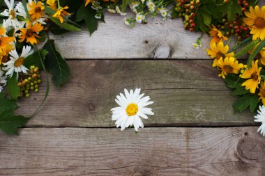 yaz; kartopu; papatya; spikelet; sepet; somun; arka plan; çerçeve; çiçekler; çiçek; yeşil; bahar; alanı; duvar kağıdı; Doğa; üst; Beyaz; ahşap; Görünüm; kopya; bitki; yaprak; Lay; Tasarım; kavramı; düz; Palm; doğal; tatil; çiçek; güzel