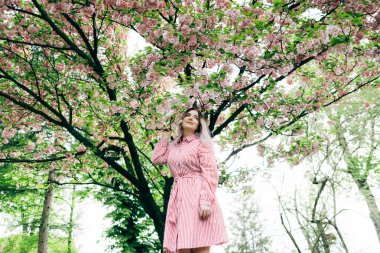 Park güneşli günde kiraz çiçeği mevsiminde zevk güzel genç kadın