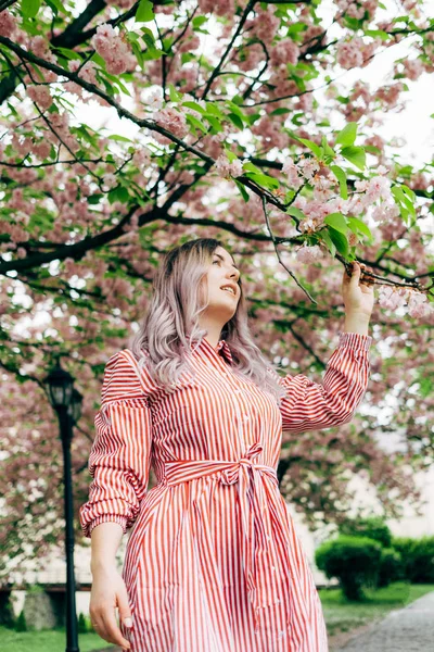 Park güneşli günde kiraz çiçeği mevsiminde zevk güzel genç kadın