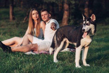 Genç çift onların köpek redaksiyon ikinci Direktörü Haski'nin niteliğine şehir dışında gün batımında eğleniyor