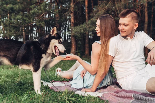 Young Couple Having Fun Dog Haski Sunset City Nature — Stock Photo, Image