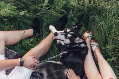 Genç çift onların köpek redaksiyon ikinci Direktörü Haski'nin niteliğine şehir dışında gün batımında eğleniyor