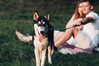 Genç çift onların köpek redaksiyon ikinci Direktörü Haski'nin niteliğine şehir dışında gün batımında eğleniyor