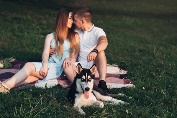 年轻夫妇有乐趣与他们的狗 Haski 在日落城外的性质 — 图库照片